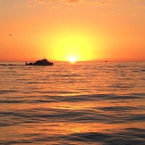 Meet your Posher, Patrick